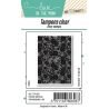 Planche de tampons - Texture dentelle - Love in the Moon