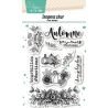 Tampons saveurs d'automne - Love in the Moon