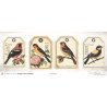 Set papiers Vintage Papers - 6 papiers 30,5x31,5 cm + 6 papiers 12x30,5cm