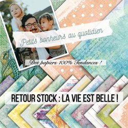 Set papiers La vie est...
