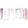 Set papiers La vie est belle - 6 papiers 30,5x31,5 cm + 6 papiers 12x30,5cm