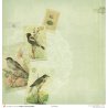 Set papiers Leçon de choses - 6 papiers 30,5x31,5 cm + 6 papiers 12x30,5cm
