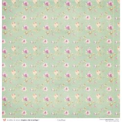 Set papiers Leçon de choses - 6 papiers 30,5x31,5 cm + 6 papiers 12x30,5cm