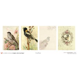 Set papiers Leçon de choses - 6 papiers 30,5x31,5 cm + 6 papiers 12x30,5cm