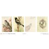 Set papiers Leçon de choses - 6 papiers 30,5x31,5 cm + 6 papiers 12x30,5cm