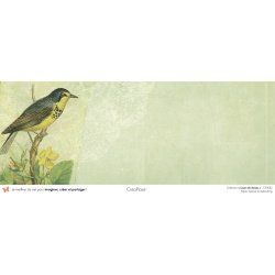 Set papiers Leçon de choses - 6 papiers 30,5x31,5 cm + 6 papiers 12x30,5cm