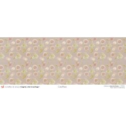 Set papiers Leçon de choses - 6 papiers 30,5x31,5 cm + 6 papiers 12x30,5cm