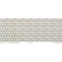 Set papiers Leçon de choses - 6 papiers 30,5x31,5 cm + 6 papiers 12x30,5cm