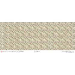 Set papiers Leçon de choses - 6 papiers 30,5x31,5 cm + 6 papiers 12x30,5cm