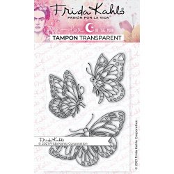 3 Tampons transparents...