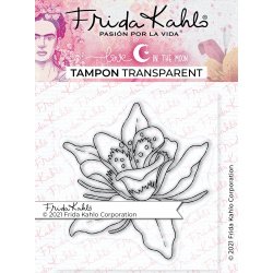 Tampon transparent...