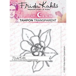 Tampon transparent...