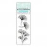 Set de 3 tampons clear Ginkgo biloba - 13x5,5cm