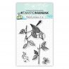 Set de 4 tampons clear oiseaux - 10x15cm