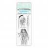 Tampon plantes en pot - 13x5,5cm