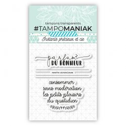 Sets de tampons clear 7,5x7cm - PTM-0001