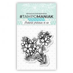 Sets de tampons clear - 7,5x7cm - PTM-0011