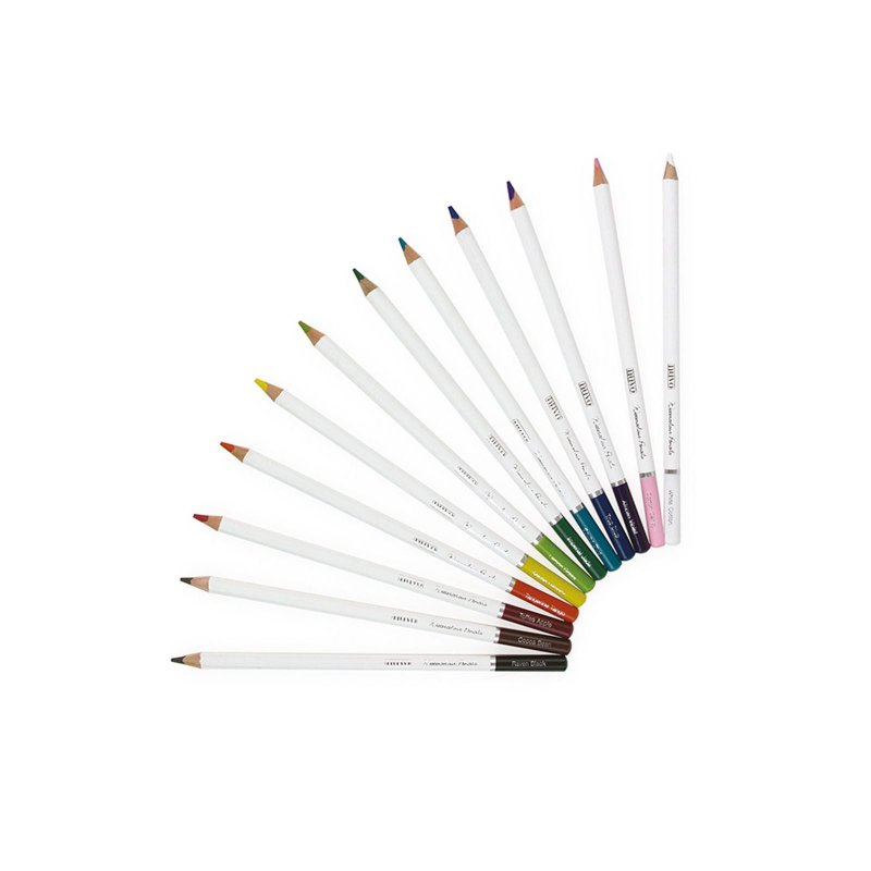 Crayons Aquarelle Vibrant