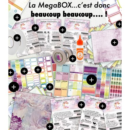 MegaBOX - La vie est belle - Printemps