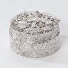 Feuilles de dorure - Radiant Argent (200ml) - 851N